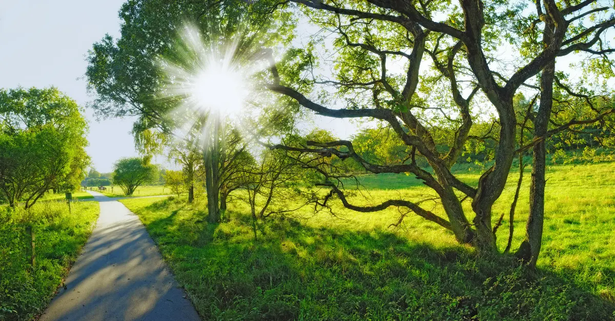 nature