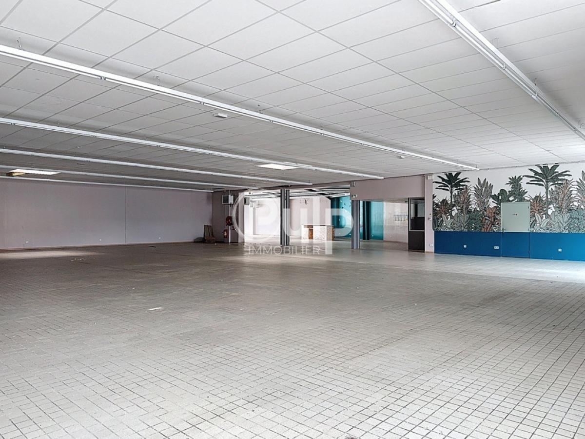 location Local Hesdin (62140) réf:hesf16542 - Pulp Immobilier