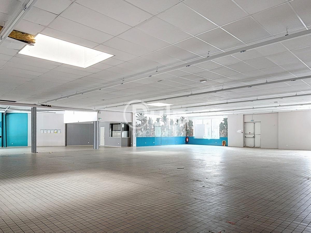 location Local Hesdin (62140) réf:hesf16542 - Pulp Immobilier