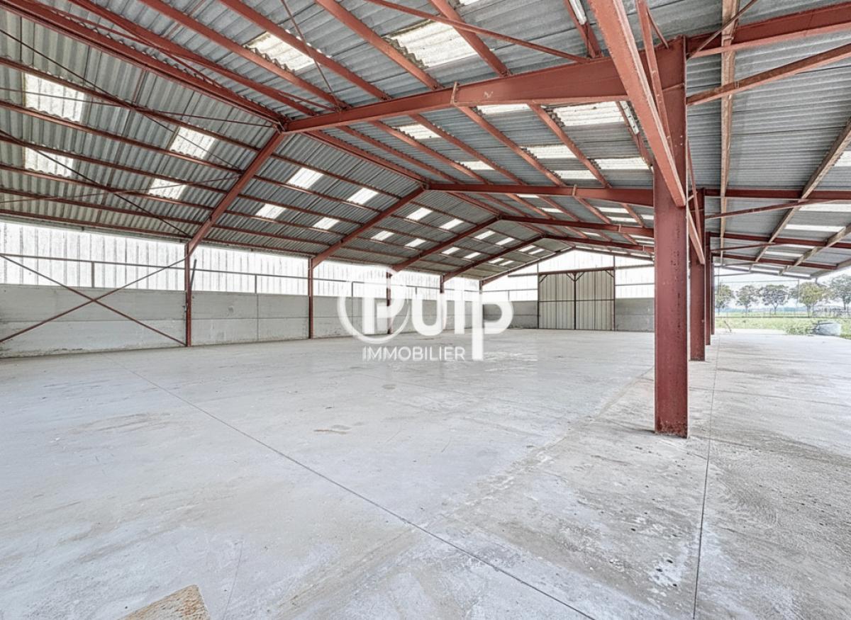 vente Divers Bersee (59235) réf:siege18434 - Pulp Immobilier