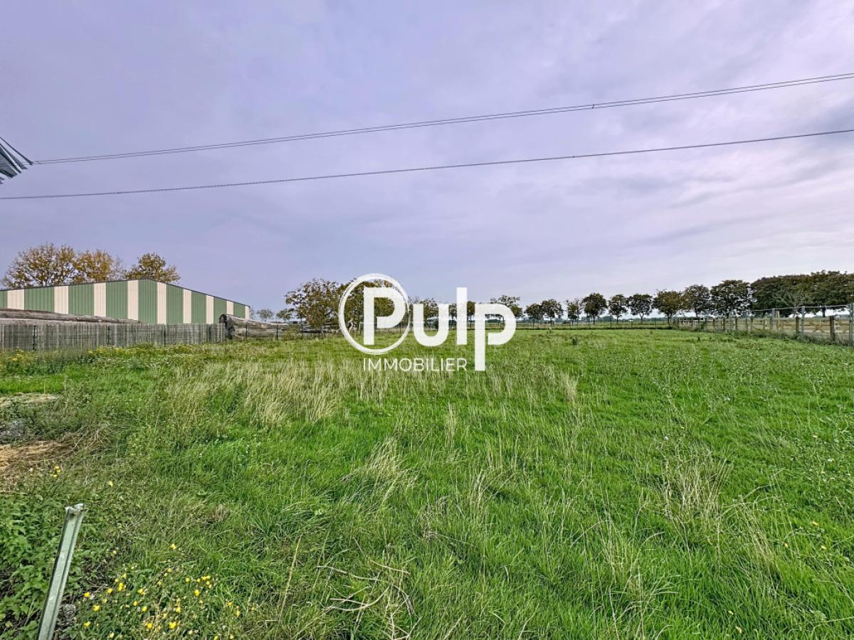 vente Divers Bersee (59235) réf:siege18434 - Pulp Immobilier