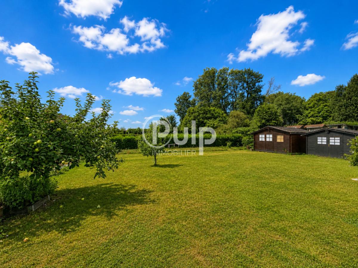 vente Maison Auchy Les Hesdin (62770) réf:hesf161 - Pulp Immobilier