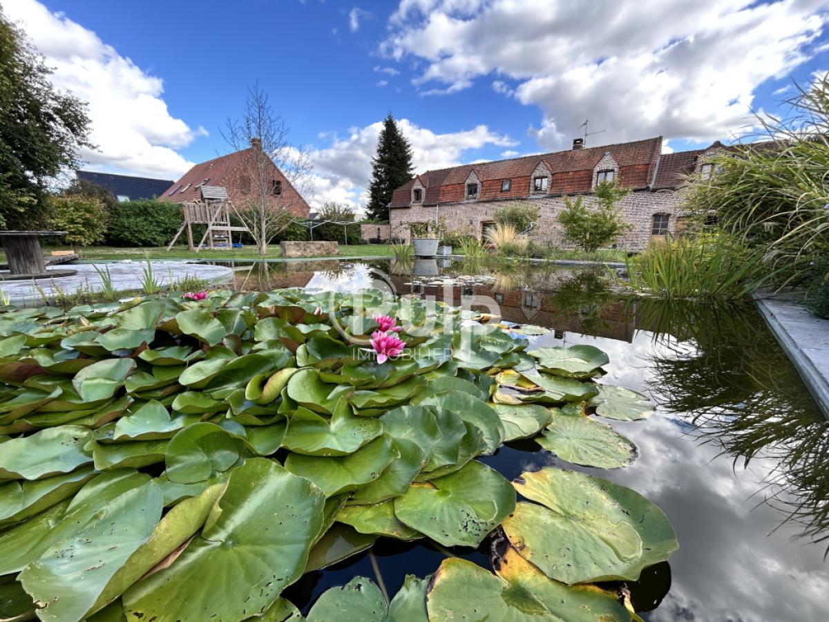 vente Maison Billy Berclau (62138) réf:bil16730 - Pulp Immobilier