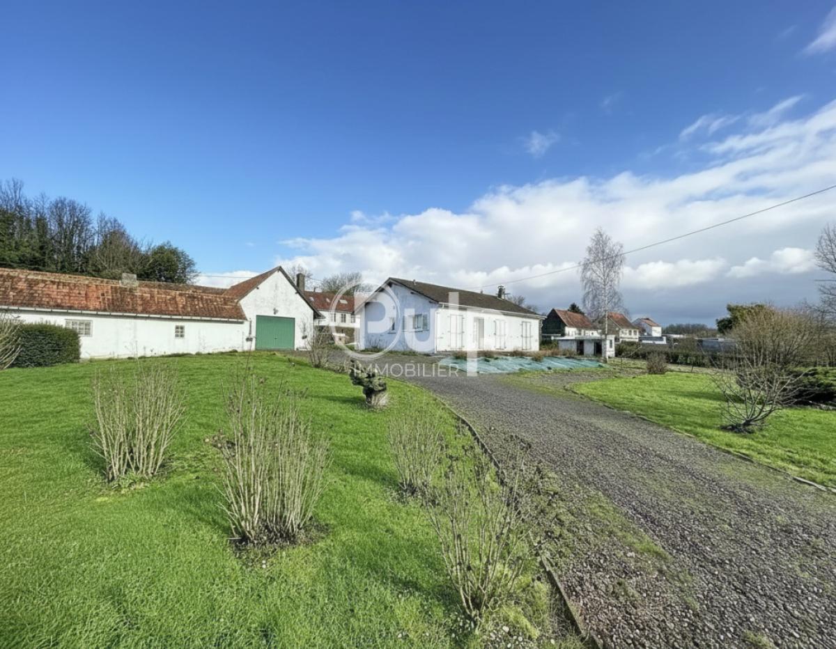 vente Maison Blangy Sur Ternoise (62770) réf:hesf71 - Pulp Immobilier