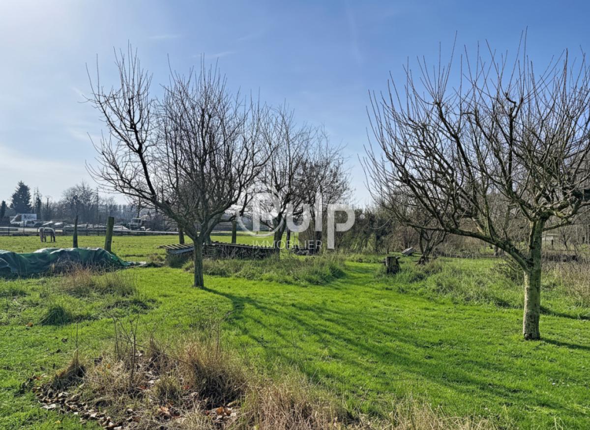 vente Maison Flines Lez Raches (59148) réf:siege18189 - Pulp Immobilier