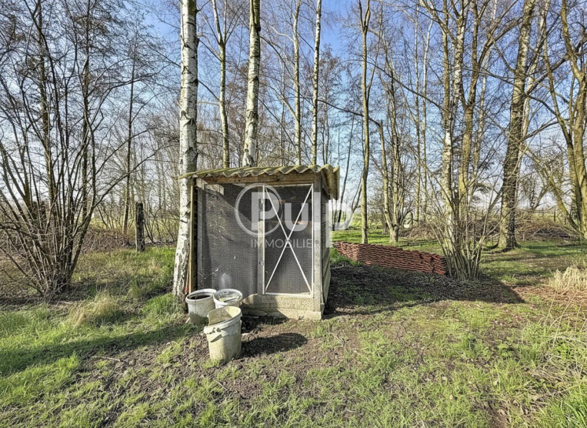 vente Maison Flines Lez Raches (59148) réf:siege18189 - Pulp Immobilier