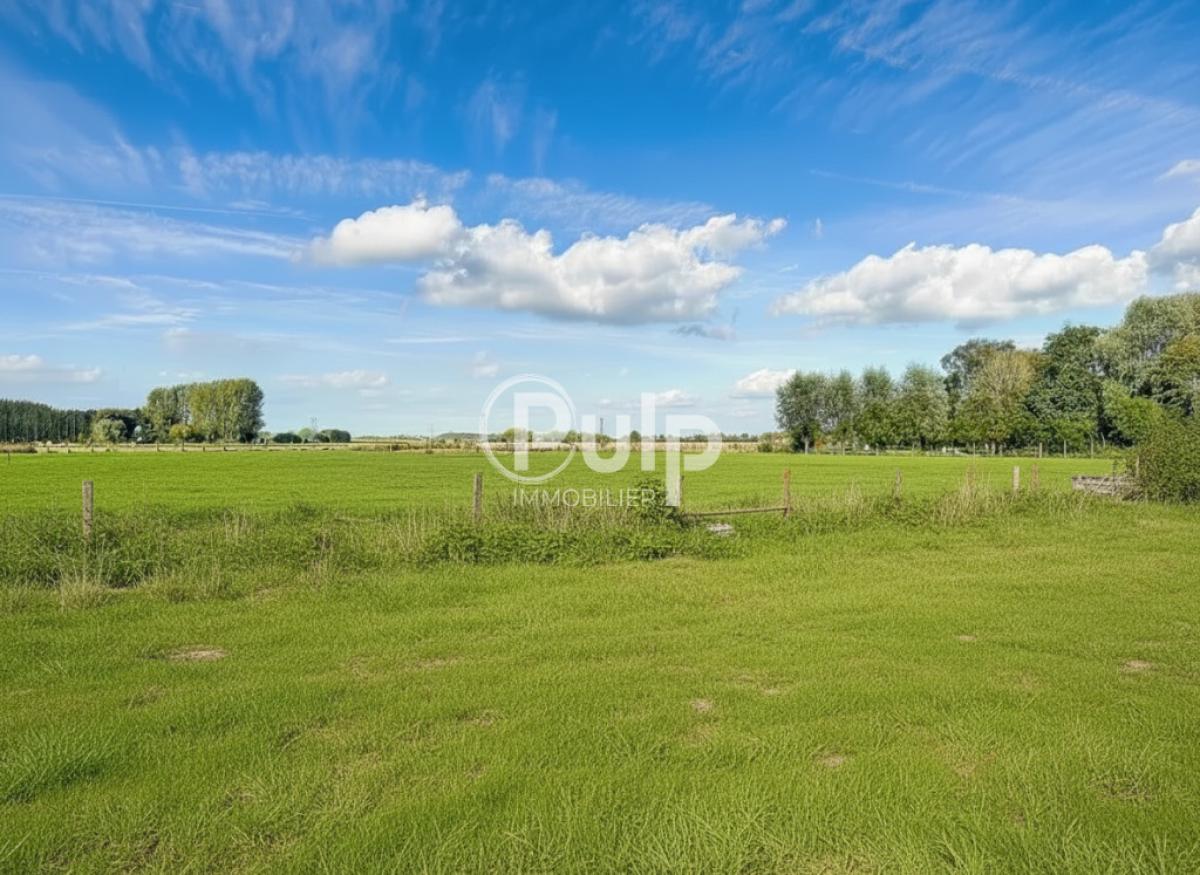 vente Maison Flines Lez Raches (59148) réf:siege18477 - Pulp Immobilier