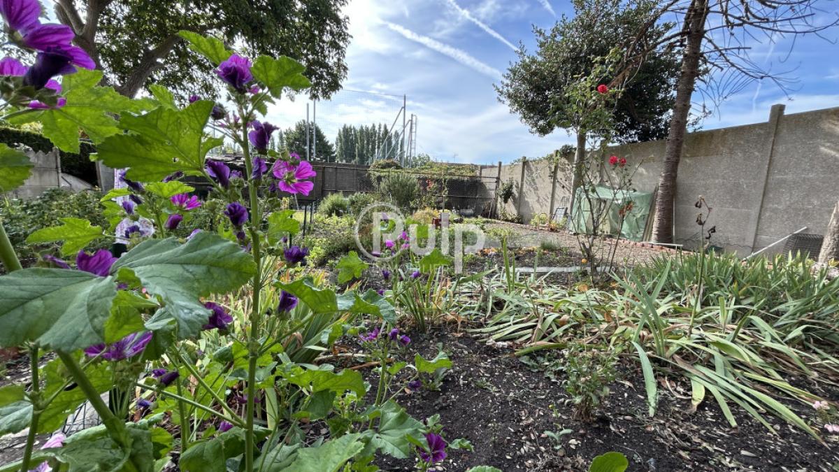 vente Maison Fouquieres Les Lens (62740) réf:hen16657 - Pulp Immobilier