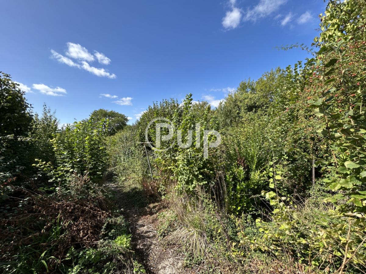 vente Maison Hersin Coupigny (62530) réf:seg18441 - Pulp Immobilier