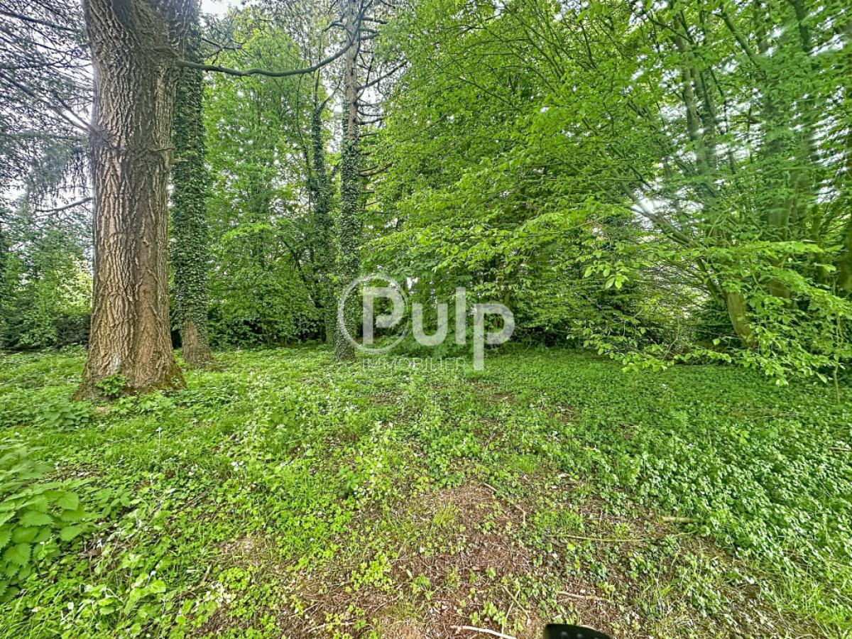 vente Maison Hesdin (62140) réf:hesf113 - Pulp Immobilier