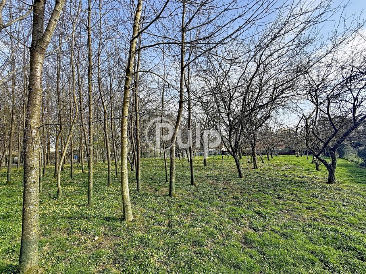 vente Maison Humieres (62130) réf:hesf94 - Pulp Immobilier