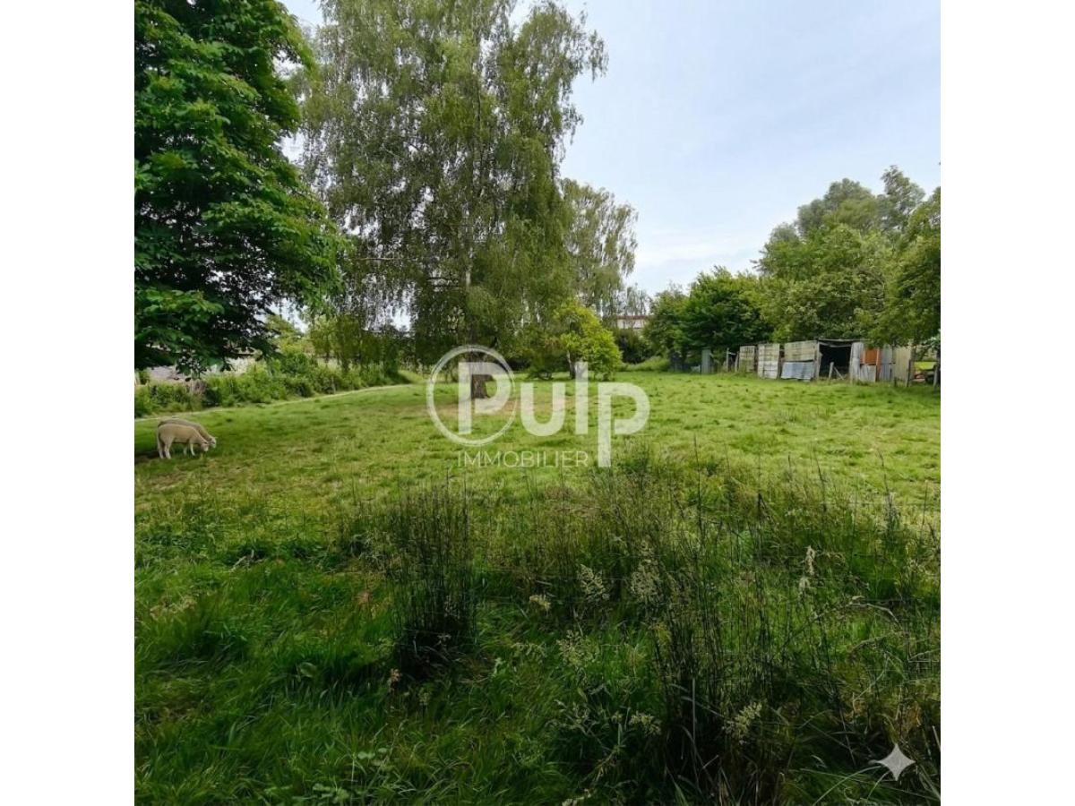 vente Maison Lallaing (59167) réf:dou17970 - Pulp Immobilier