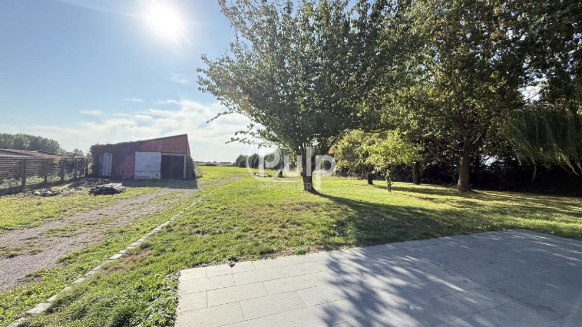 vente Maison Le Doulieu (59940) réf:estf16762 - Pulp Immobilier