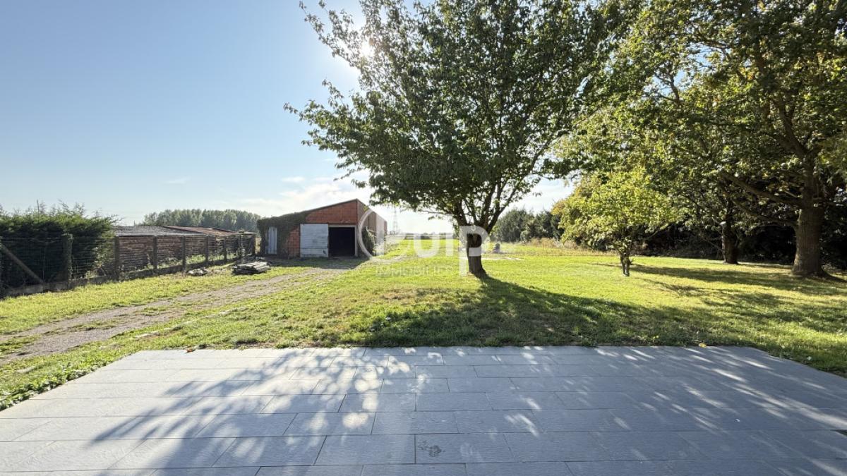vente Maison Le Doulieu (59940) réf:estf16762 - Pulp Immobilier