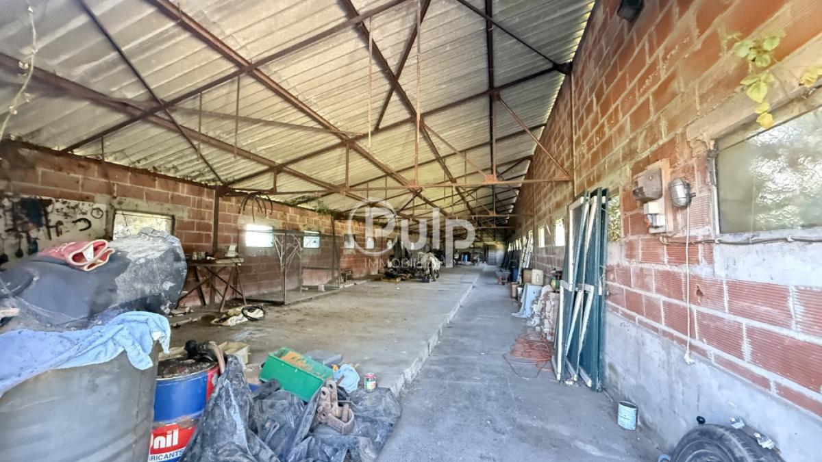 vente Maison Le Doulieu (59940) réf:estf16762 - Pulp Immobilier