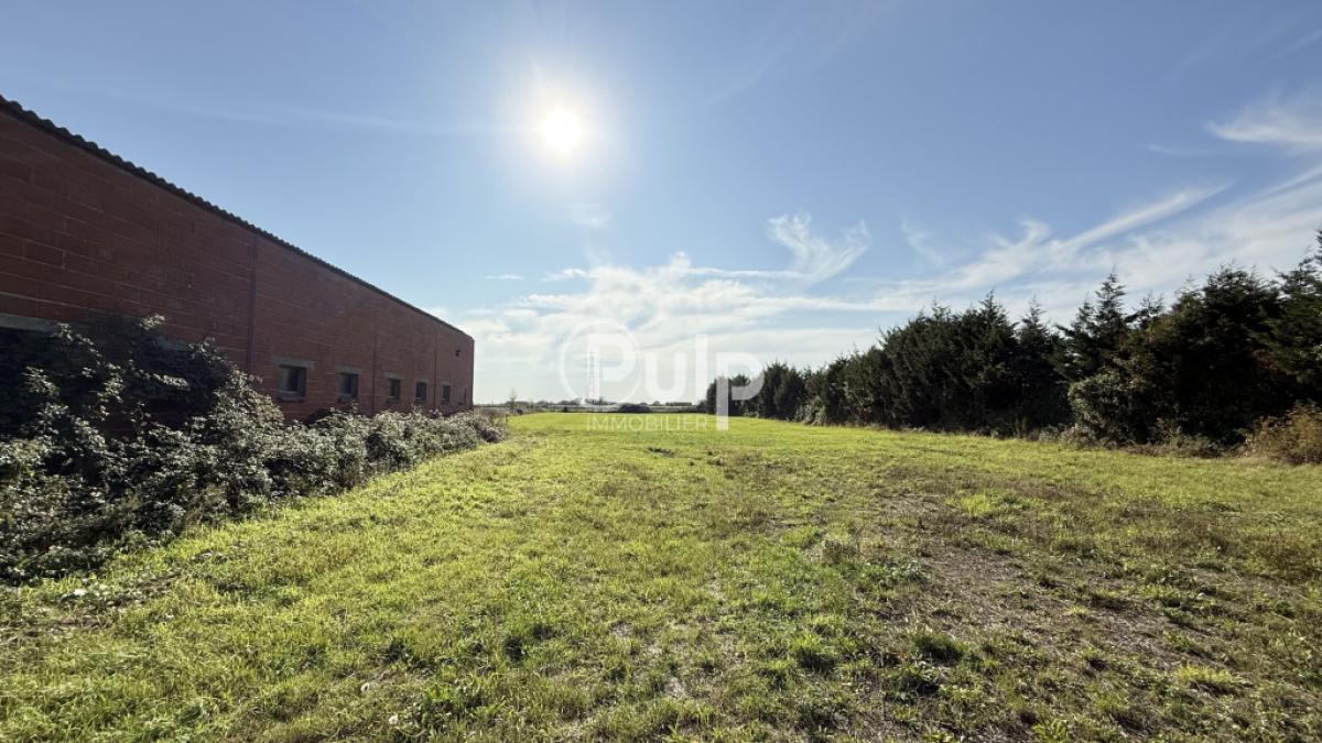 vente Maison Le Doulieu (59940) réf:estf16762 - Pulp Immobilier