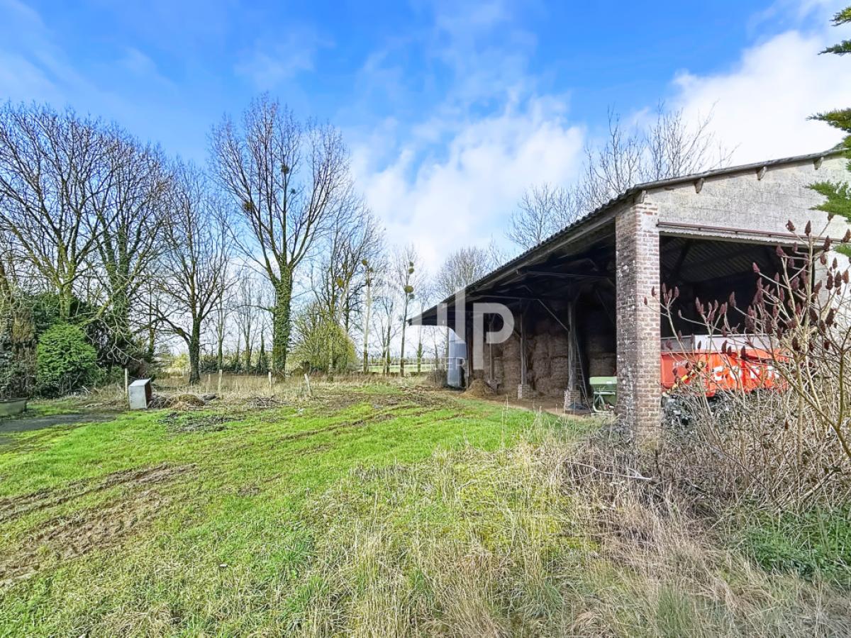 vente Maison Le Quesnoy En Artois (62140) réf:hesf152 - Pulp Immobilier