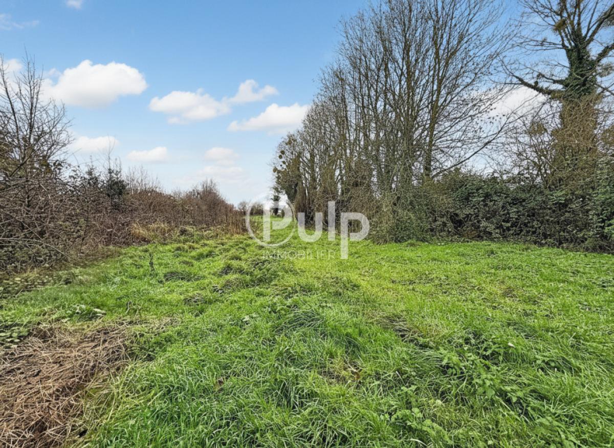vente Maison Le Quesnoy En Artois (62140) réf:hesf88 - Pulp Immobilier