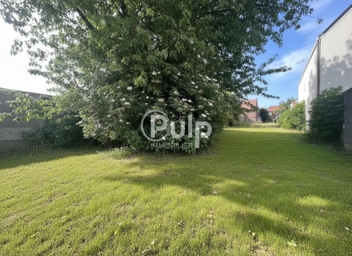 vente Maison Lecluse (59259) réf:bsvf17323 - Pulp Immobilier