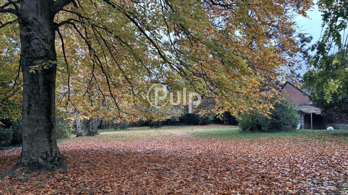 vente Maison Lievin (62800) réf:lie16957 - Pulp Immobilier