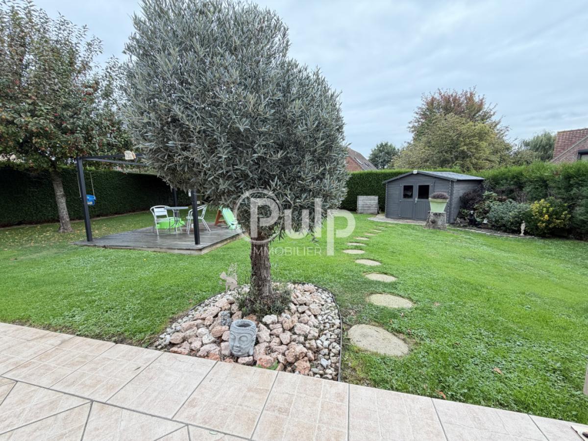 vente Maison Morbecque (59190) réf:hazf10 - Pulp Immobilier