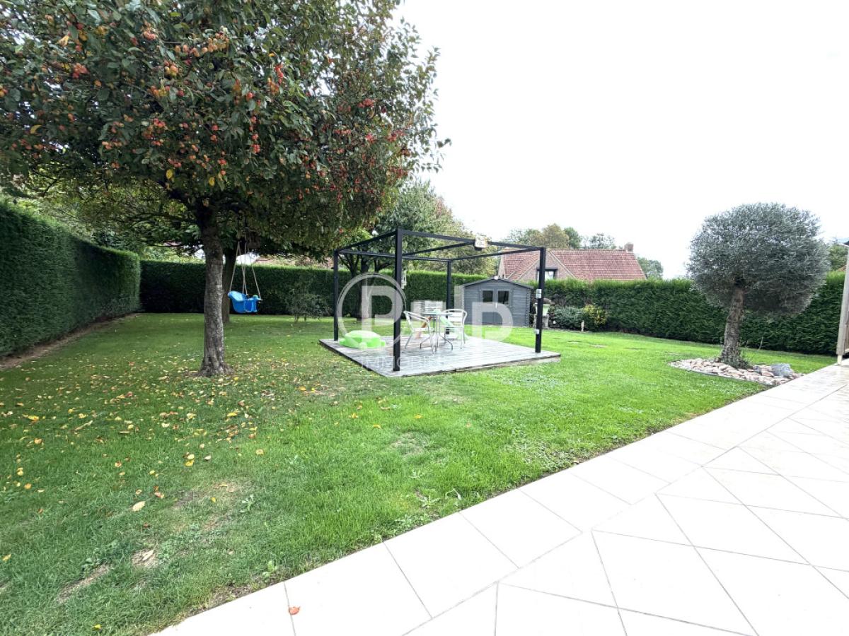 vente Maison Morbecque (59190) réf:hazf10 - Pulp Immobilier