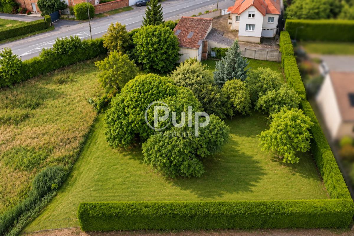vente Maison Neuville Saint Vaast (62580) réf:arr18566 - Pulp Immobilier