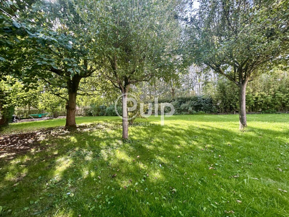vente Maison Noyelles Sous Bellonne (62490) réf:bsvf22 - Pulp Immobilier