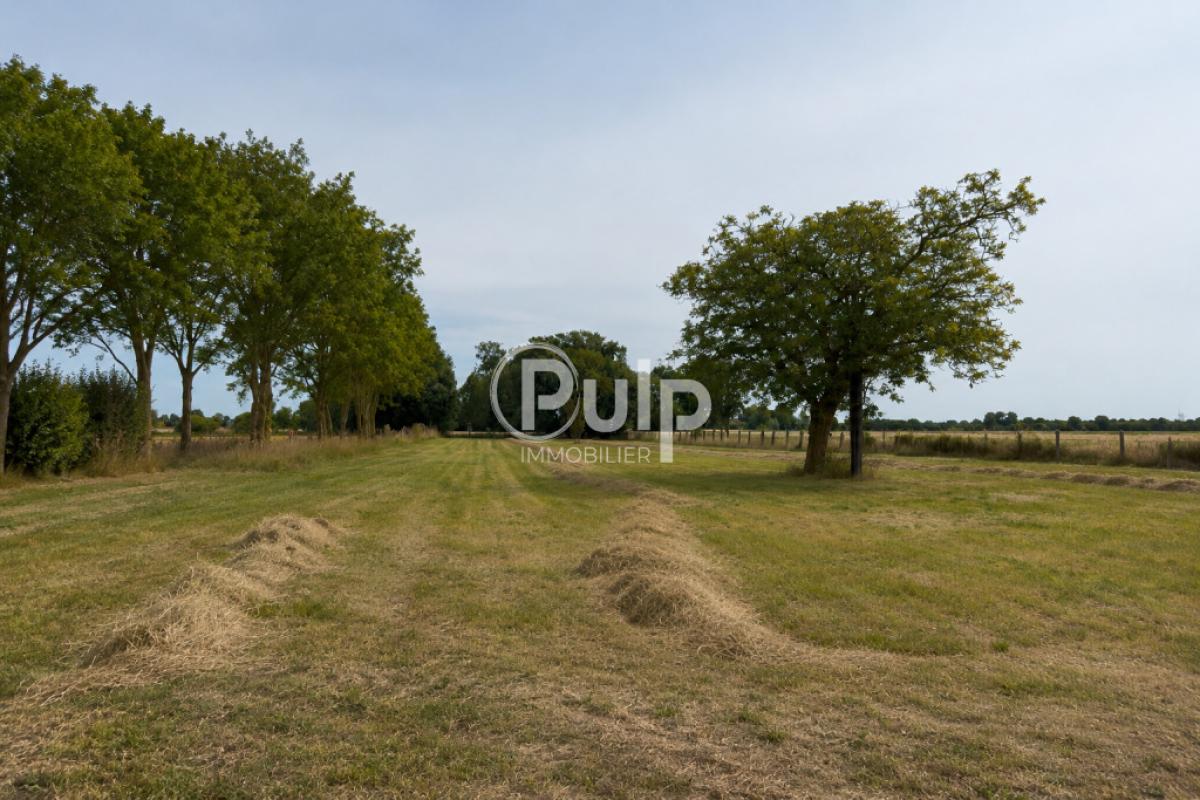 vente Maison Perenchies (59840) réf:hazf18138 - Pulp Immobilier