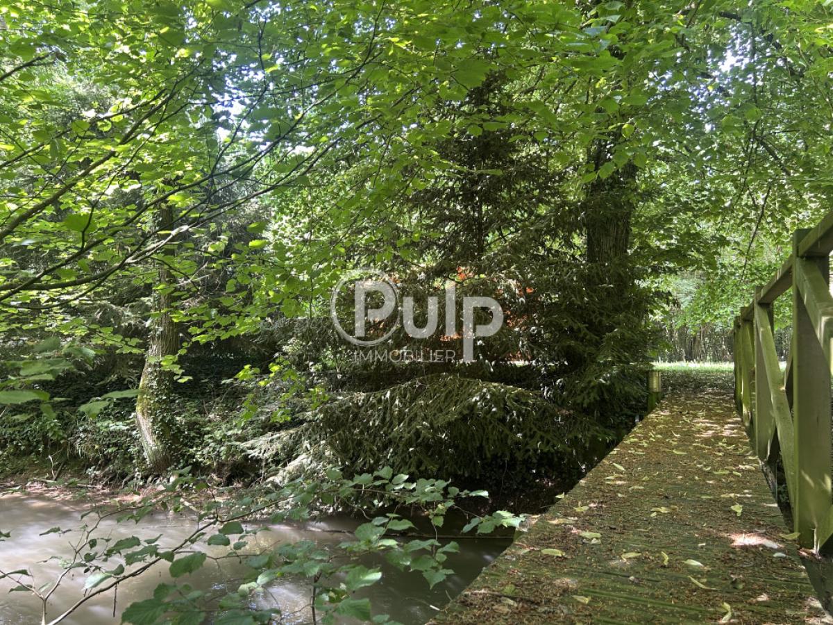 vente Maison Rebreuve Sur Canche (62270) réf:bsvf9 - Pulp Immobilier
