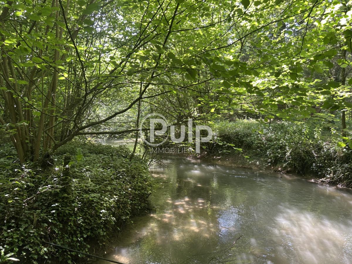 vente Maison Rebreuve Sur Canche (62270) réf:bsvf9 - Pulp Immobilier