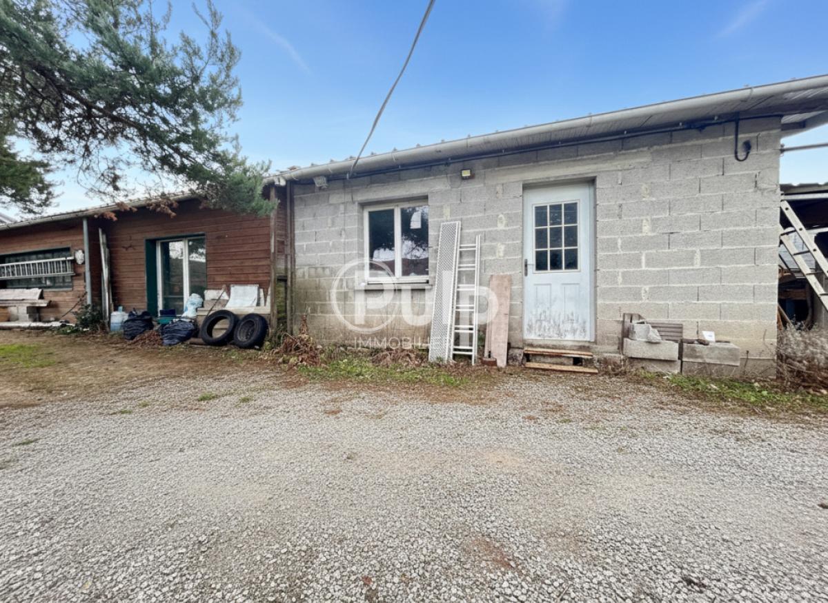 vente Maison Sains En Gohelle (62114) réf:seg17265-1 - Pulp Immobilier