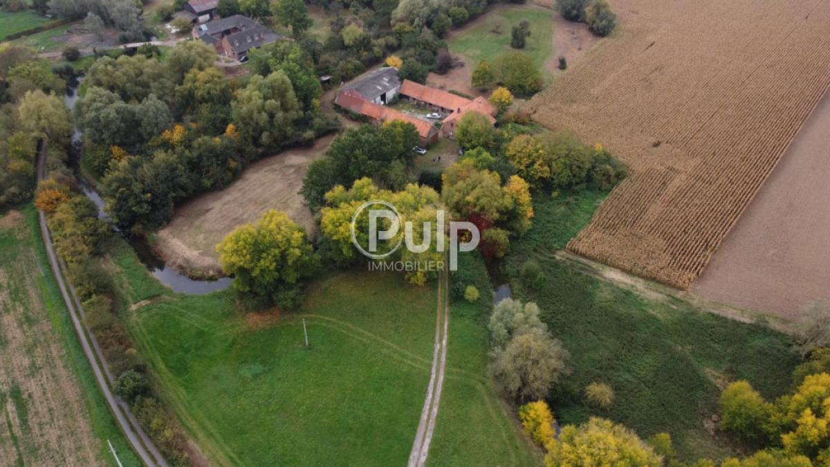 vente Maison Steenwerck (59181) réf:estf49 - Pulp Immobilier