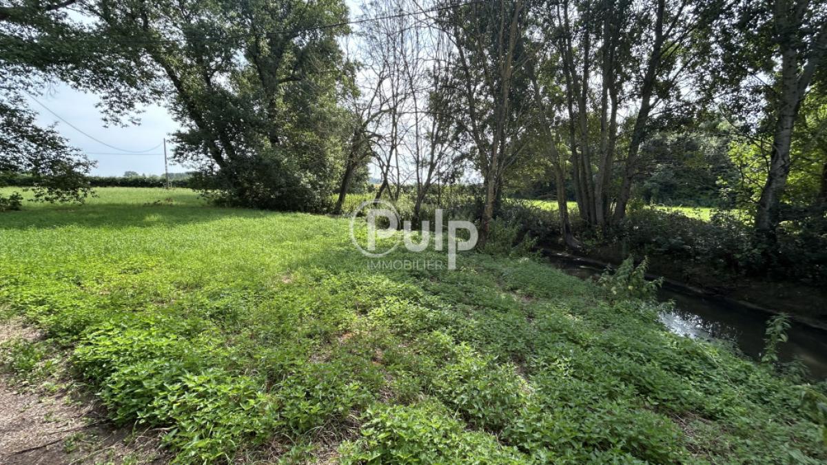 vente Maison Steenwerck (59181) réf:estf49 - Pulp Immobilier