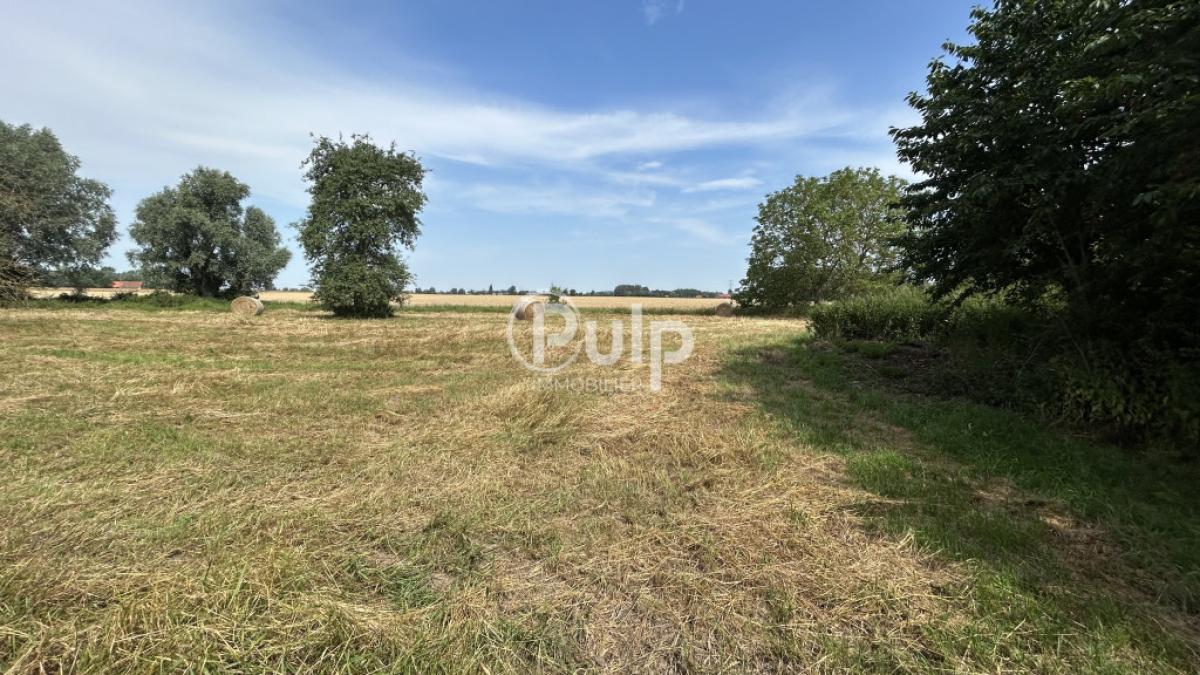 vente Maison Steenwerck (59181) réf:estf49 - Pulp Immobilier