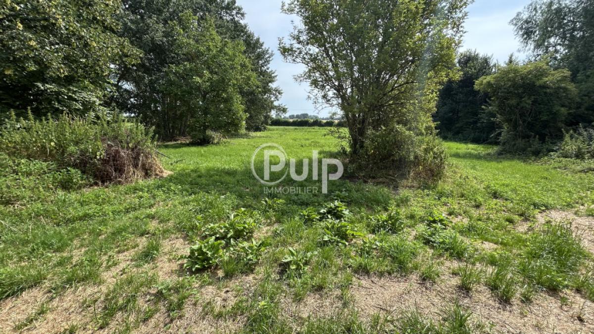 vente Maison Steenwerck (59181) réf:estf49 - Pulp Immobilier