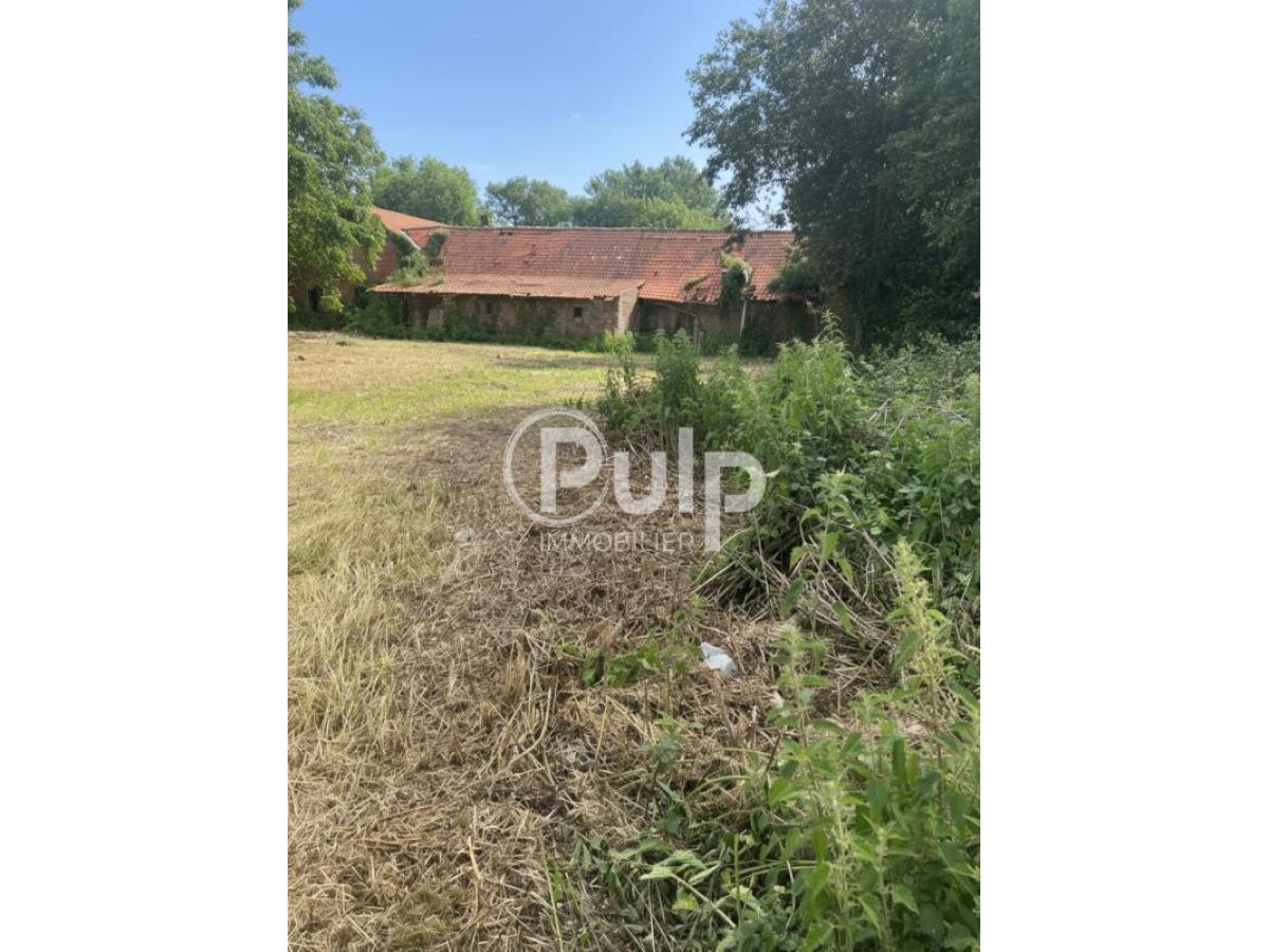 vente Maison Steenwerck (59181) réf:estf49 - Pulp Immobilier
