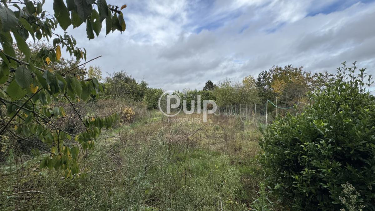vente Maison Vimy (62580) réf:lie16883 - Pulp Immobilier