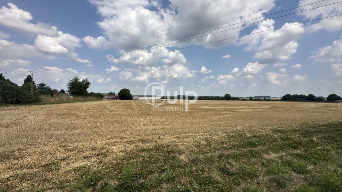 vente Maison Vimy (62580) réf:lie18232 - Pulp Immobilier