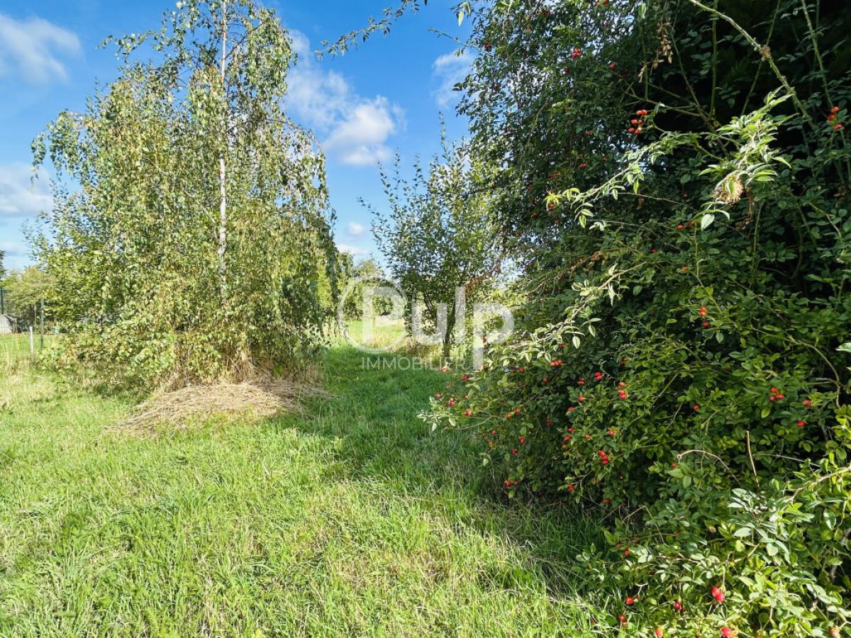 vente Maison Vimy (62580) réf:lie18411 - Pulp Immobilier