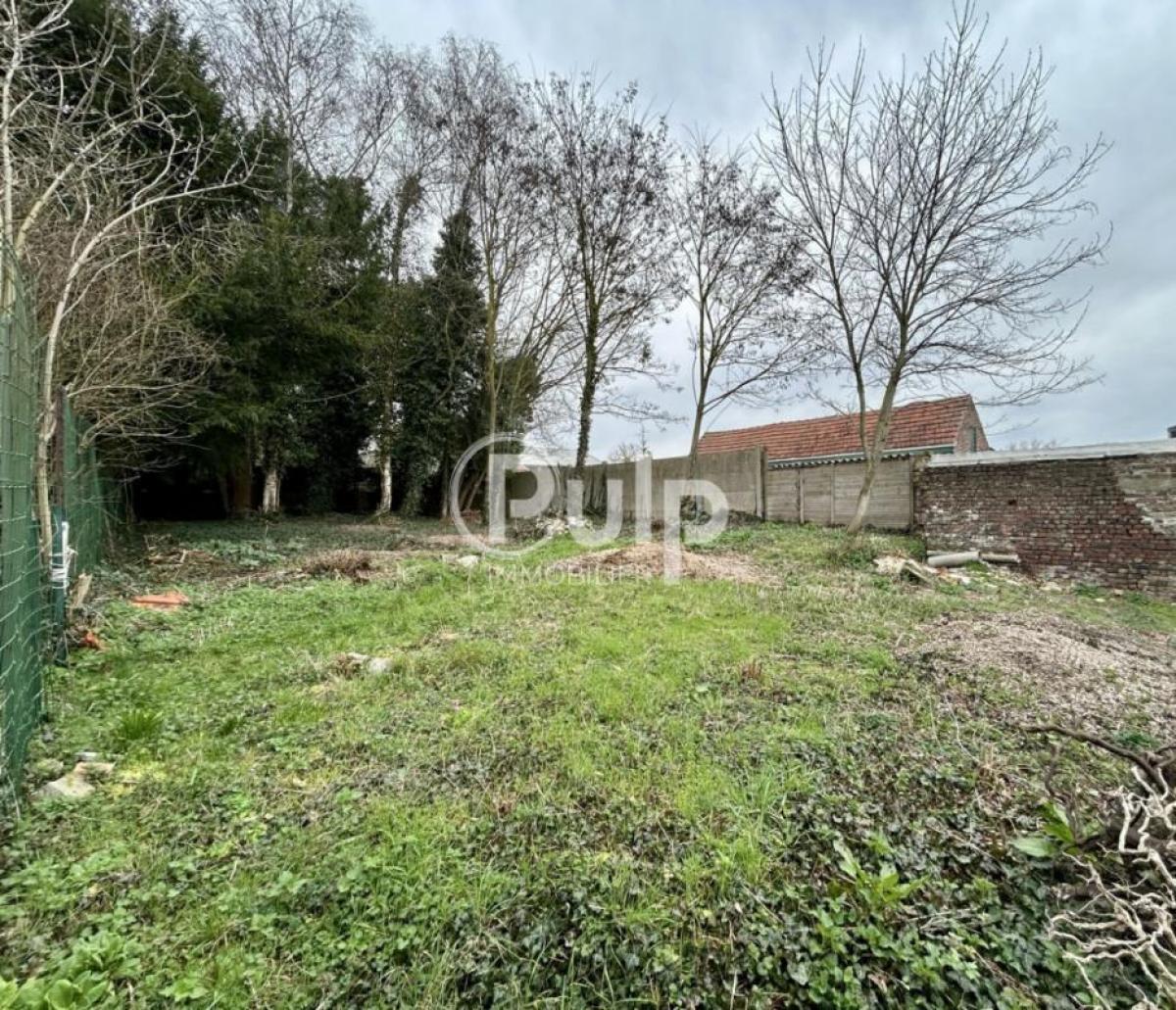 vente Terrain Esquerchin (59553) réf:dou17484 - Pulp Immobilier