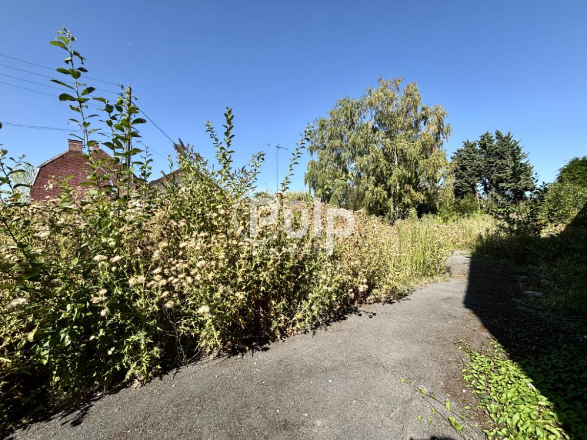 vente Terrain Fenain (59179) réf:somf71 - Pulp Immobilier
