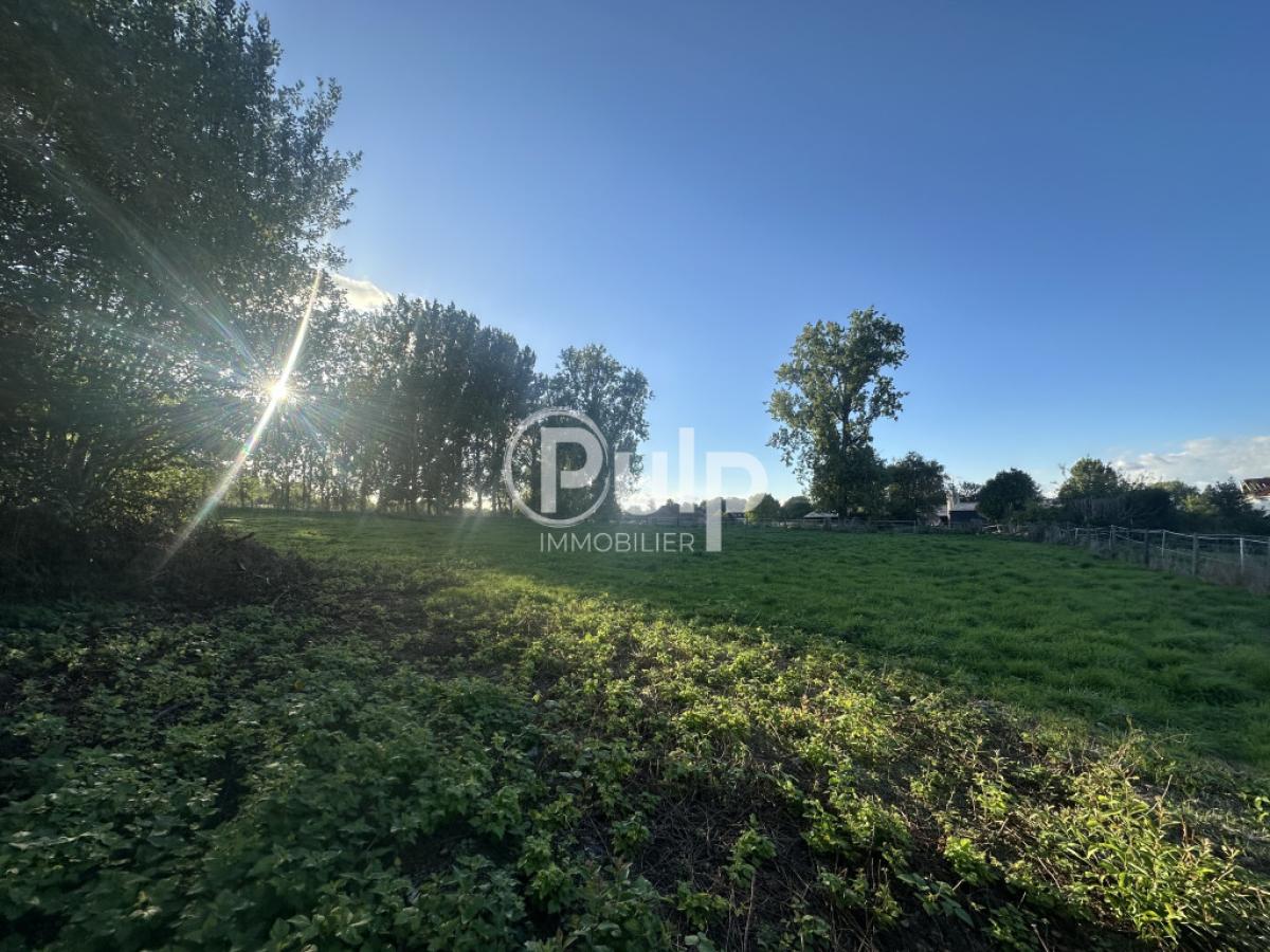 vente Terrain Fillievres (62770) réf:hesf169 - Pulp Immobilier