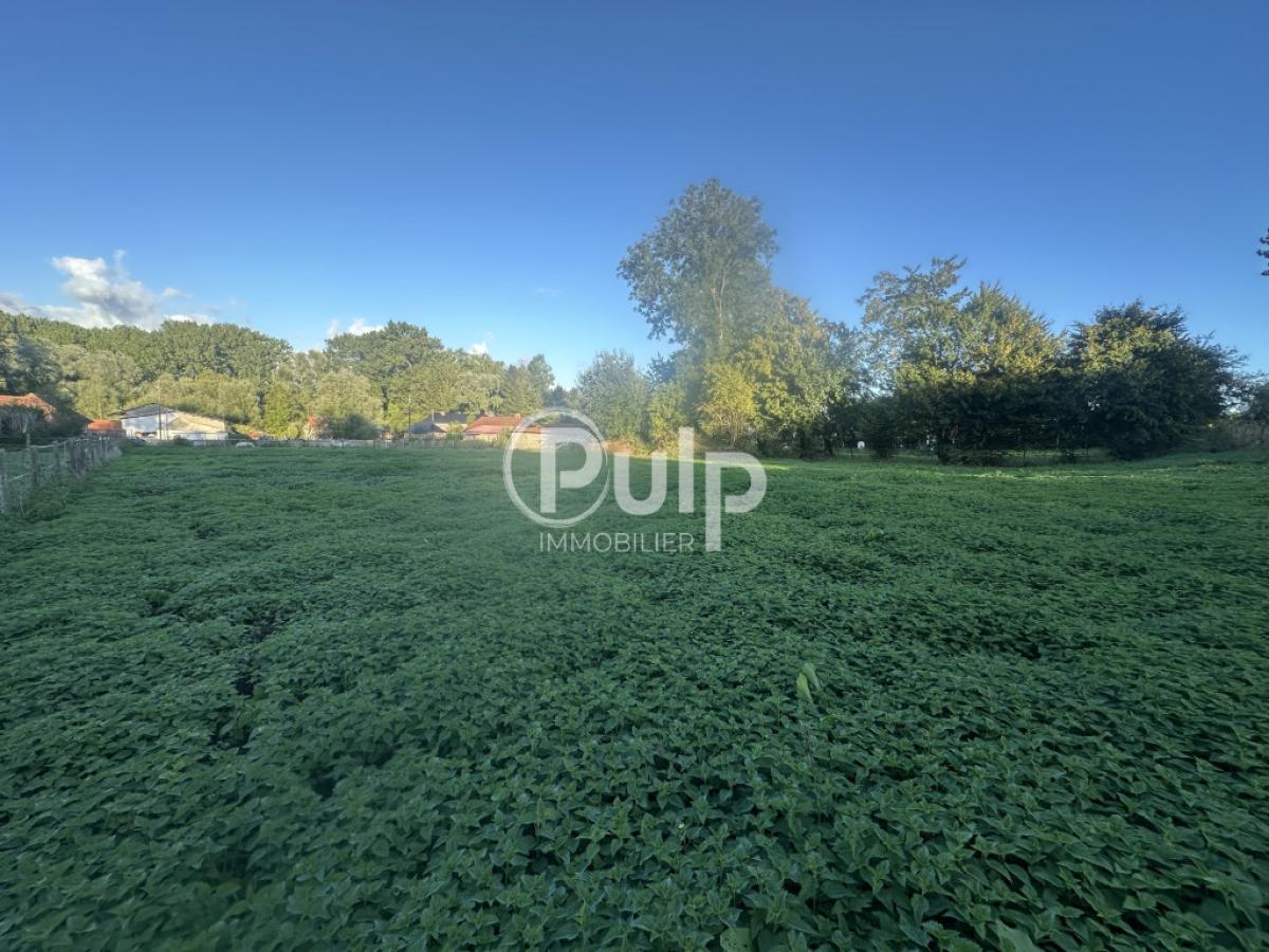 vente Terrain Fillievres (62770) réf:hesf169 - Pulp Immobilier