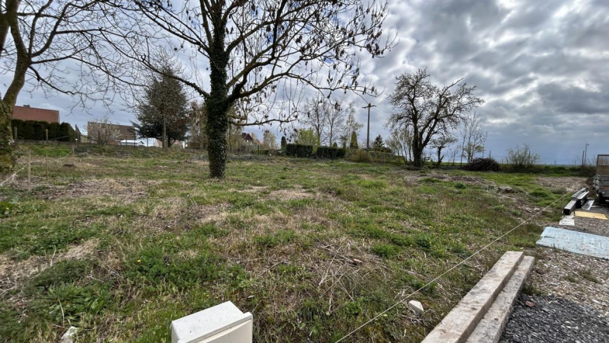 vente Terrain Mericourt (62680) réf:hen17676 - Pulp Immobilier