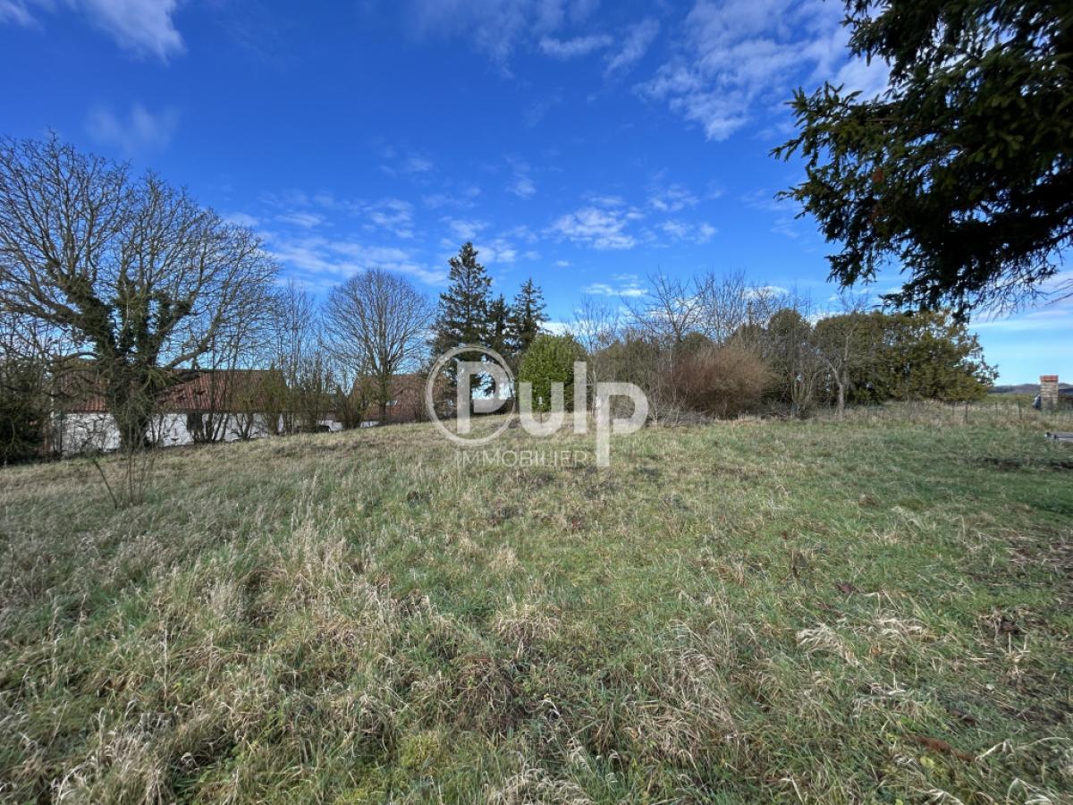vente Terrain Mont Saint Eloi (62144) réf:seg18237 - Pulp Immobilier