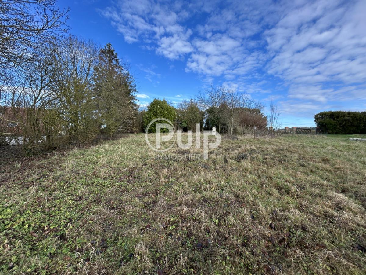 vente Terrain Mont Saint Eloi (62144) réf:seg18237 - Pulp Immobilier