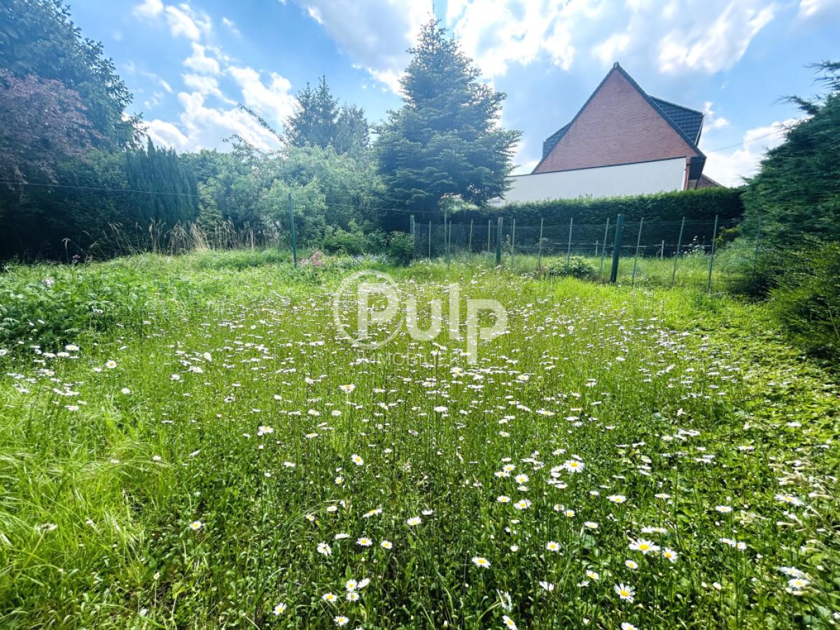 vente Terrain Noyelles Sous Lens (62221) réf:len18337 - Pulp Immobilier