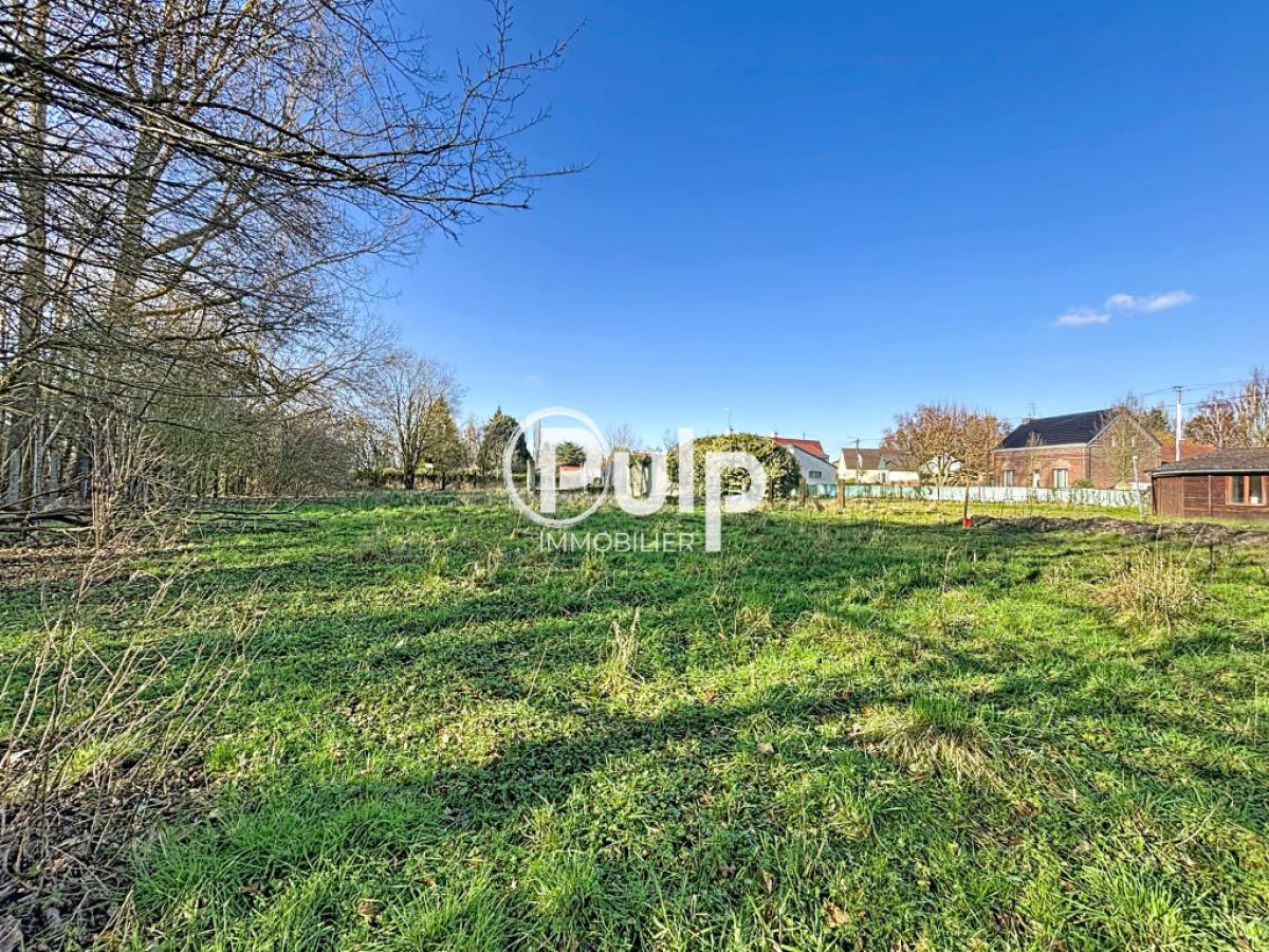 vente Terrain Rieulay (59870) réf:somf45 - Pulp Immobilier