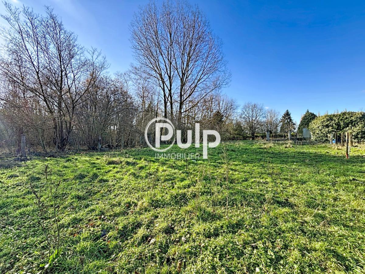 vente Terrain Rieulay (59870) réf:somf45 - Pulp Immobilier
